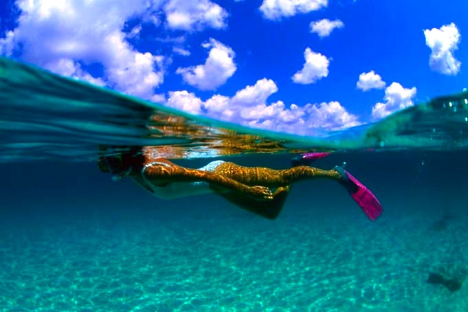 Cours de SNORKELING à Bruxelles